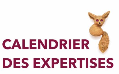 Invitation à consigner des bijoux pour la prochaine vente cataloguée chez Ader Nordmann et Dominique le 4 Juin 2025ADER Nordmann & Dominique