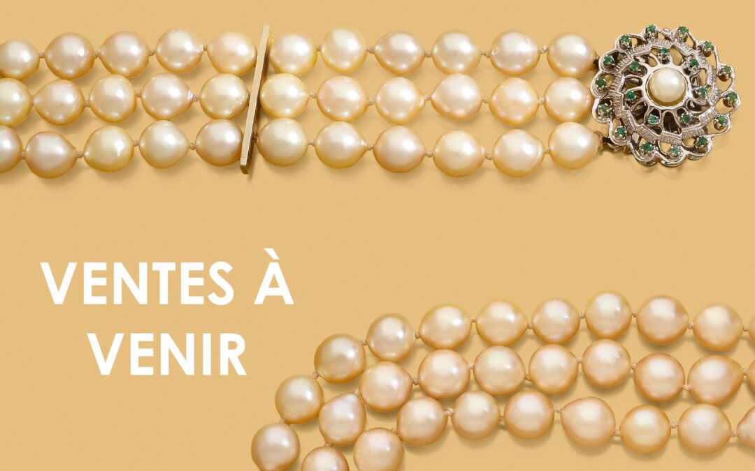 Calendrier des ventes à venir !ADER, AUCTION ART