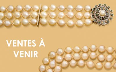 Calendrier des ventes à venir !ADER, AUCTION ART