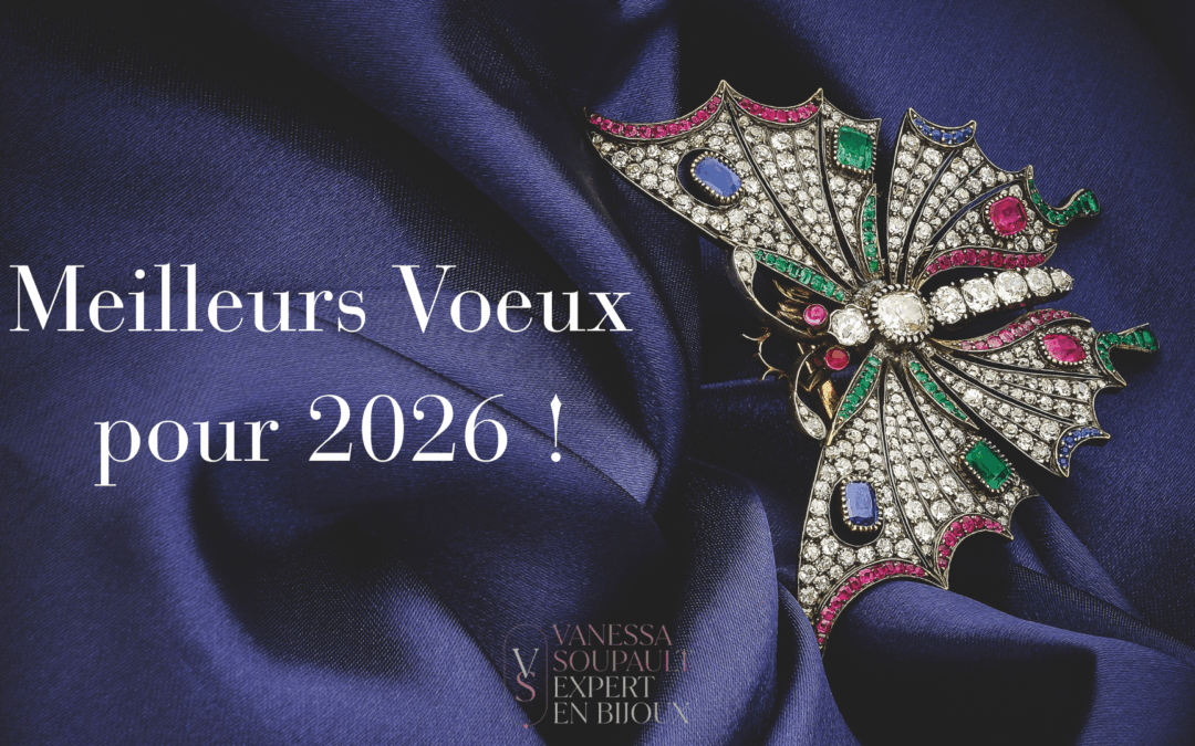 Meilleurs Voeux pour 2026 !